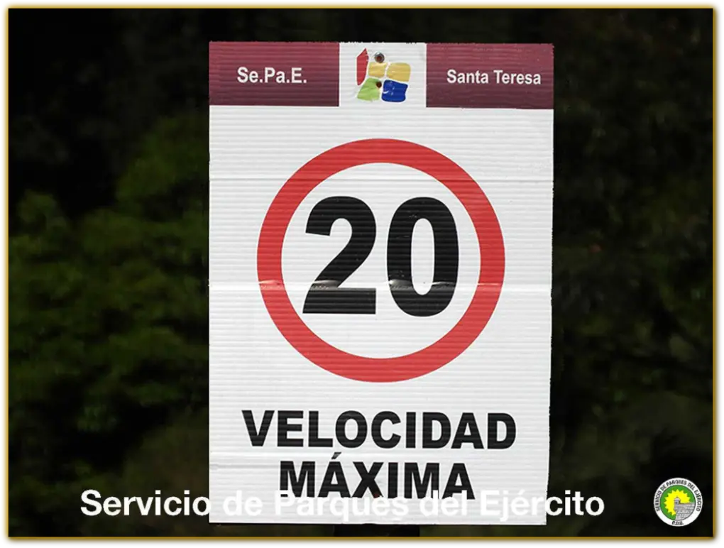 Velocidad máxima 20 km